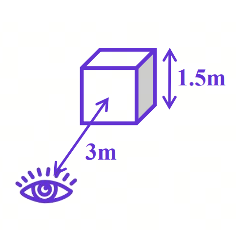 Metric Measurement — Inferring 3D dimensions such as depth and length from 2D observations.